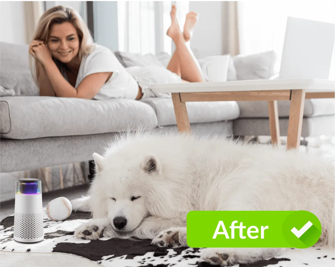 The Pet Air Purifier™