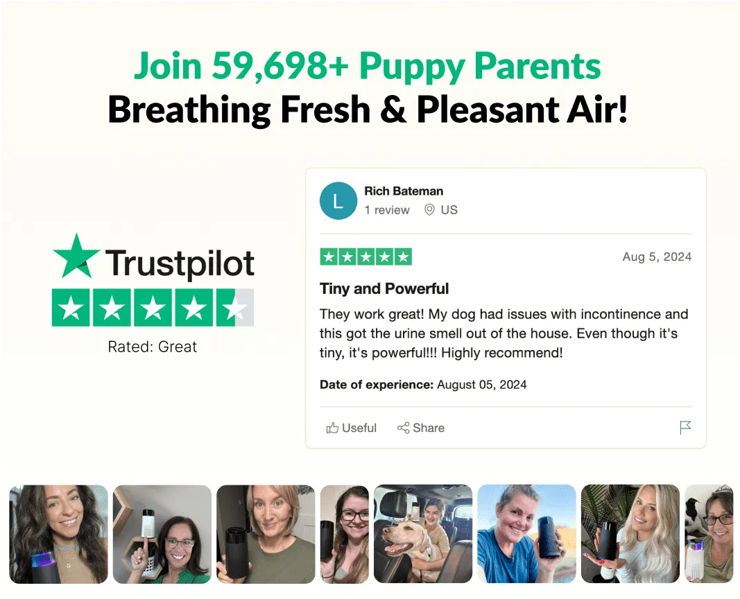 The Pet Air Purifier™