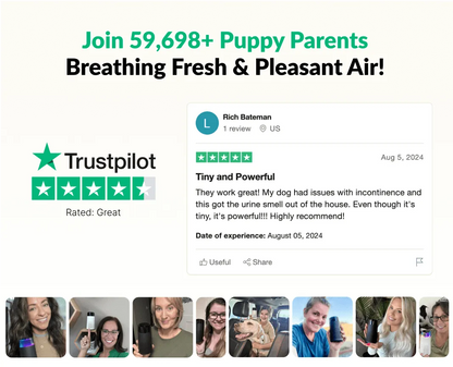 The Pet Air Purifier™